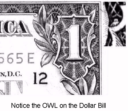 1 dollar bill owl spider. dollar bill owl spider. 1